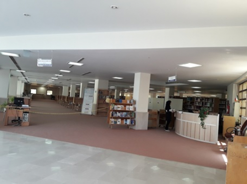 LIBRARY 1